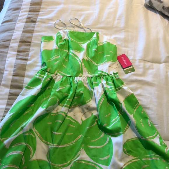 ✨NEW WITH TAGS Lilly Pulitzer dress!✨ - Picture 2 of 6